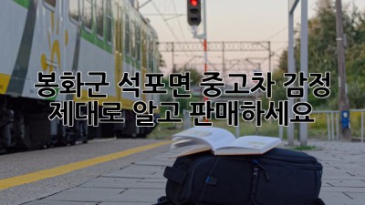 봉화군 석포면 중고차 감정, 제대로 알고 판매하세요!