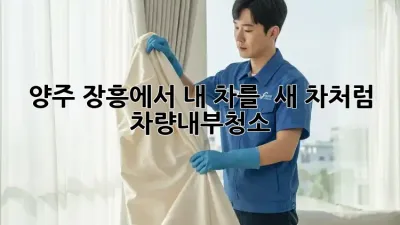 ✨ 양주 장흥에서 내 차를 ✨ 새 차처럼! #차량내부청소 🚗💨