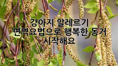 강아지 알레르기? 면역요법으로 행복한 동거 시작해요!